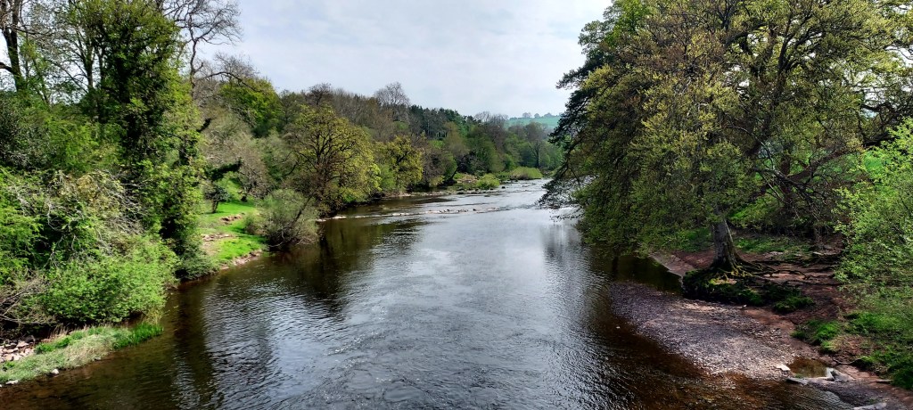 Open river with tall trees either side and sky reflected in water