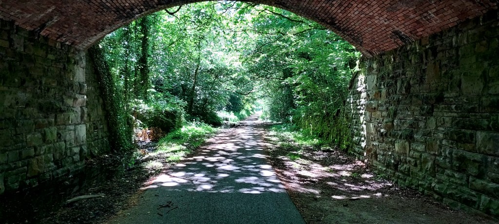 Two Bats and a Squirrel: A Walking&nbsp;Diary