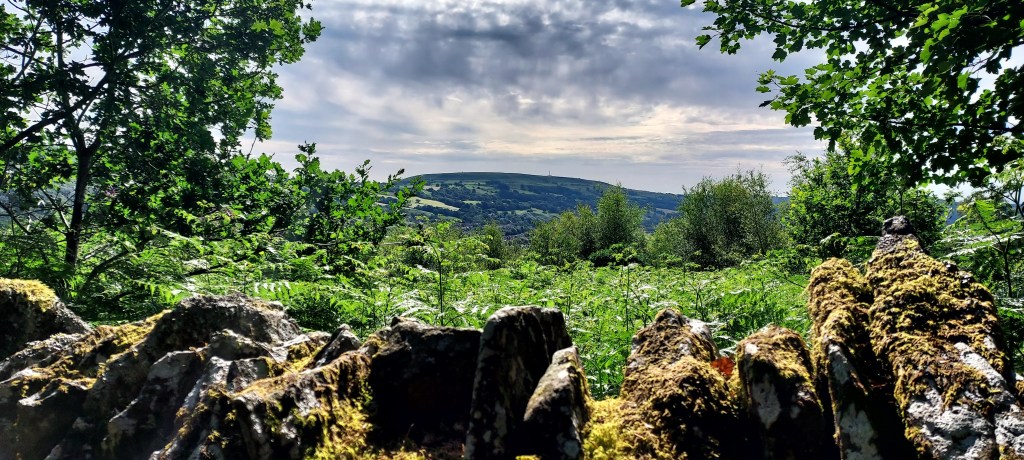View over the valley over sunny mossy wall with brooding cloud in sky