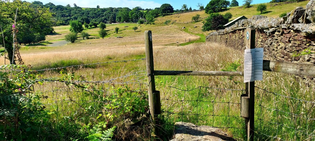 Stone stile into grassy open heathland