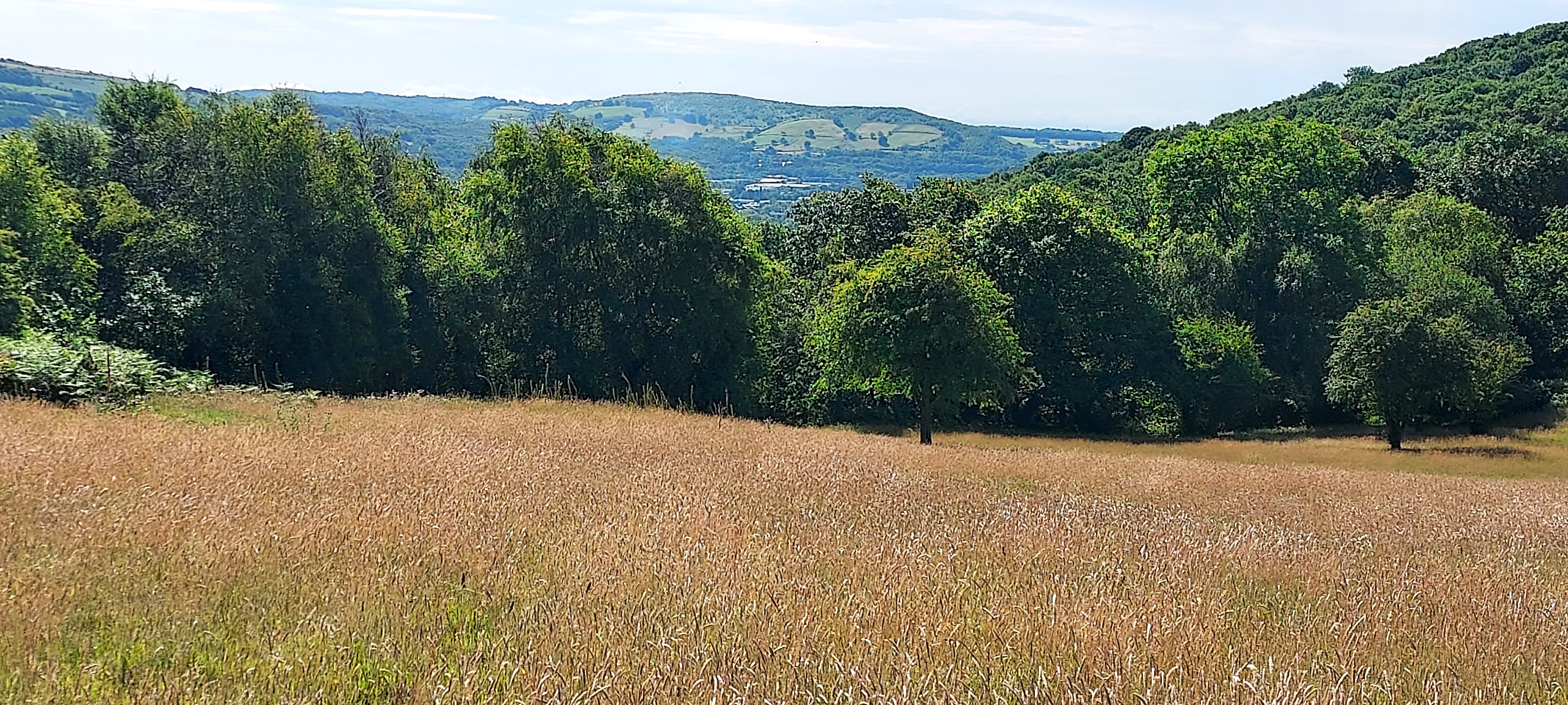 View over the valley across open grassland