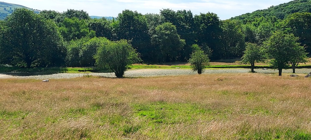 Oasis like lagoon in the heathland