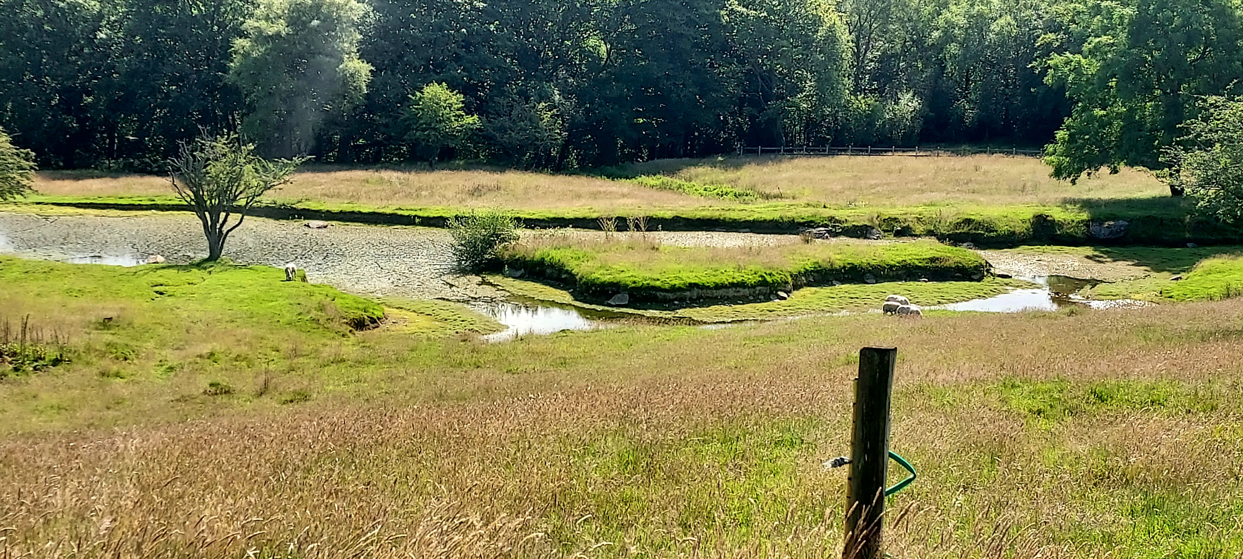 Idyliic lagoon type lake in the heathland with trees beyond
