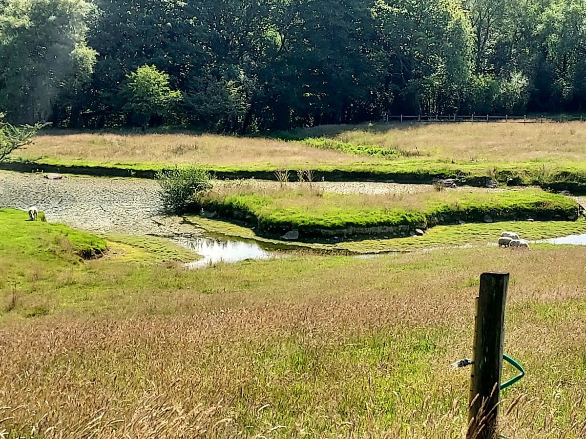 Walking Diary*Summer*
Hidden pools in the land of lost&nbsp;treasure