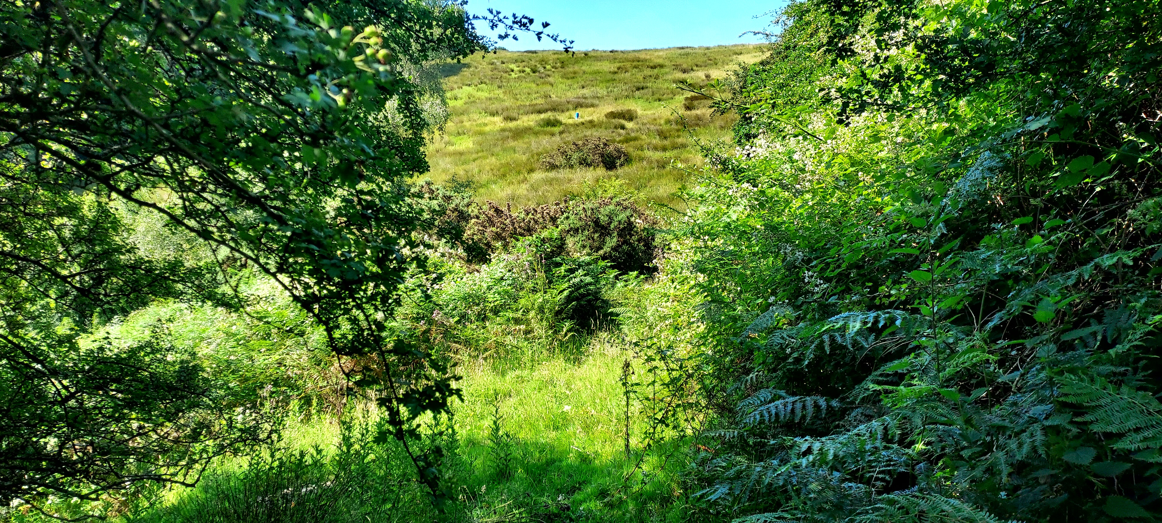 Uncertain pathways looking up the mountain