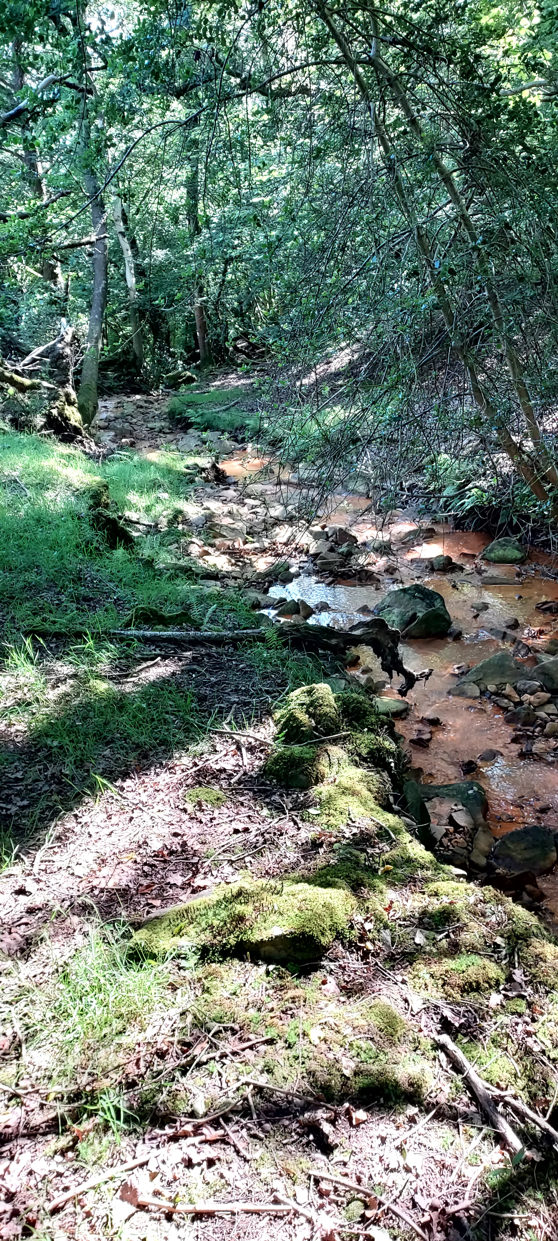 Copper coloured stream wending path down the valley