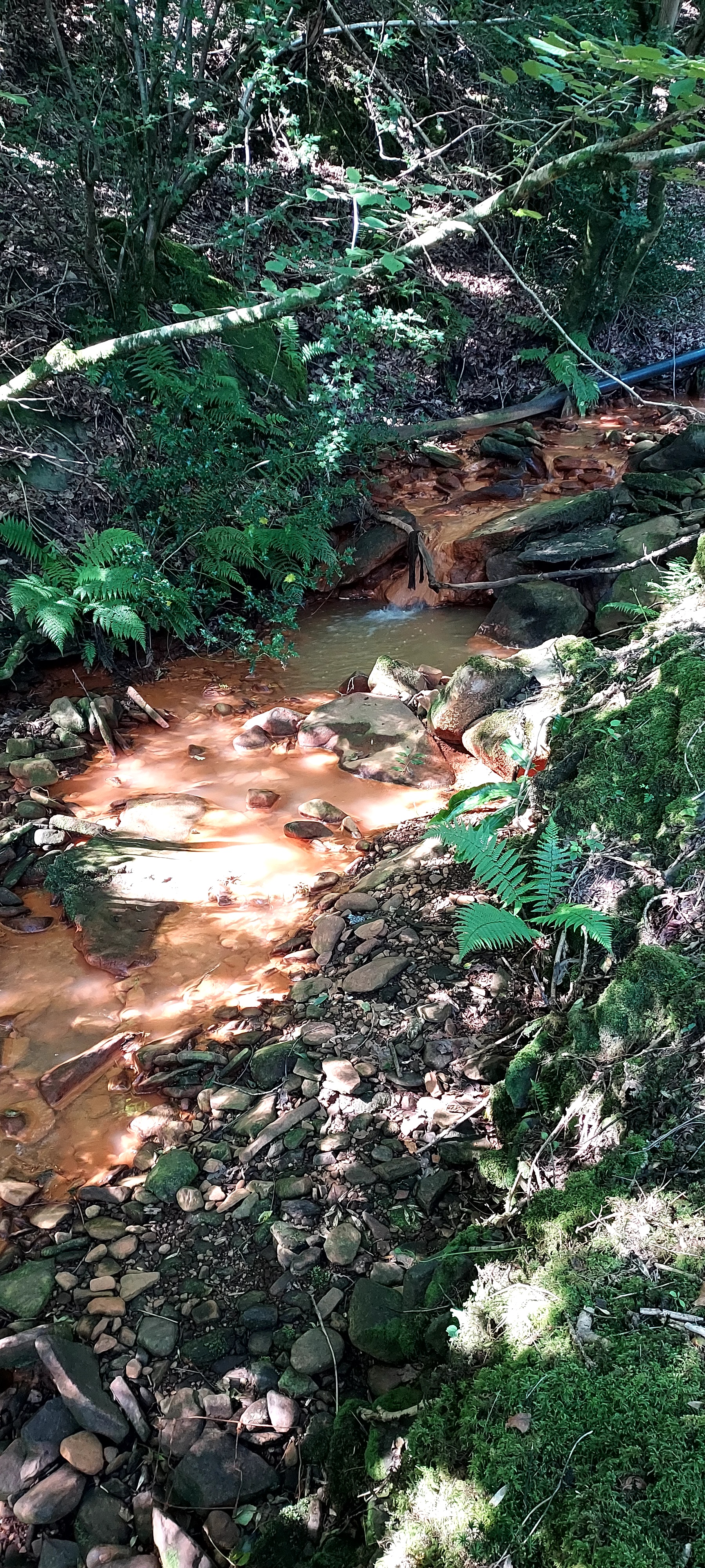 Copper coloured rocky stream with sunlight reflecting