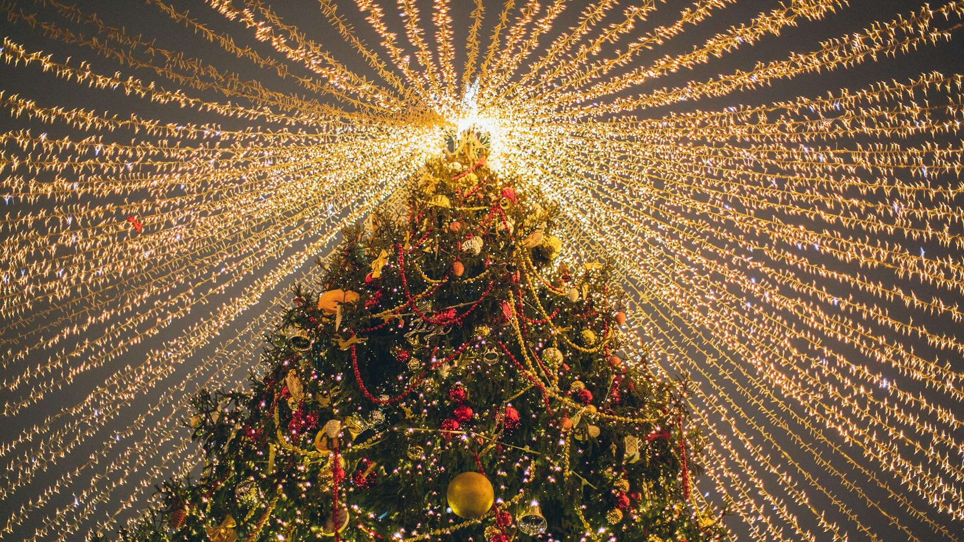Christmas tree with golden halo of lights extending out in every direction from the top