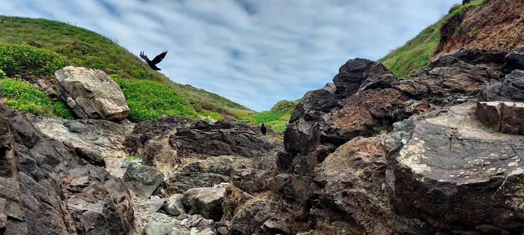 Birds flying high…you know how I feel?
Like a Crested Tit Warbler. 5  reasons why anyone and everyone should be bird-watching for mood and mental&nbsp;health…