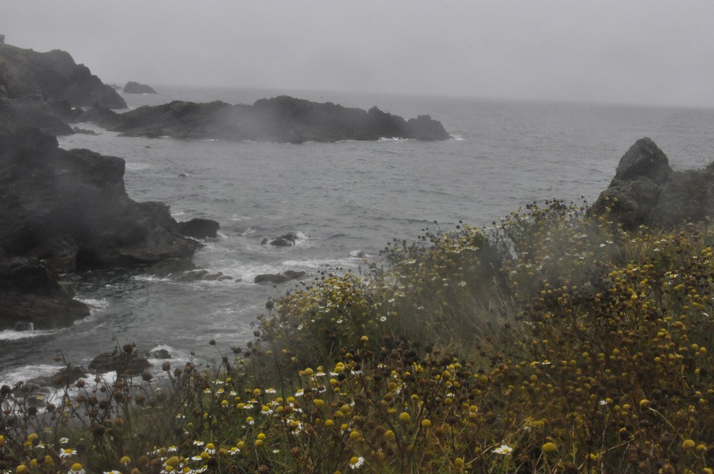 Incoming misty rain at Caerthillian cove, the lizard