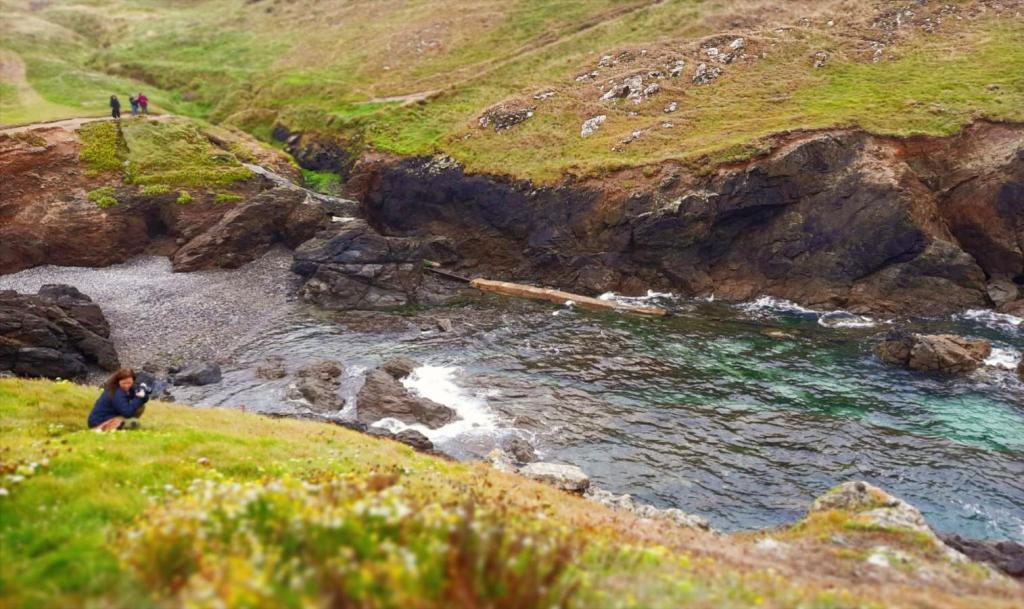 Taking photographs from steep cliff top over cove