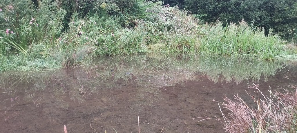 Water reflections at Barry Sidings waterfall pool