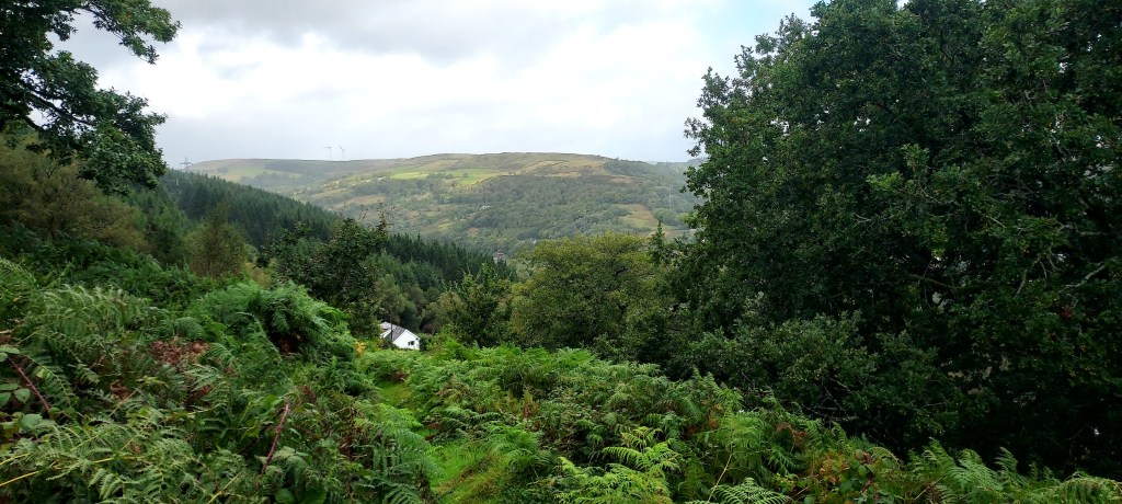 View over bracken covered mountainside of hills beyond