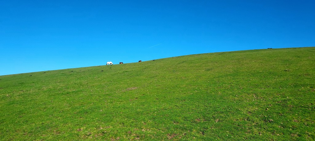 Distant horses on a green mountainside against clear blue sky Distant horses on a green mountainside against clear blue sky