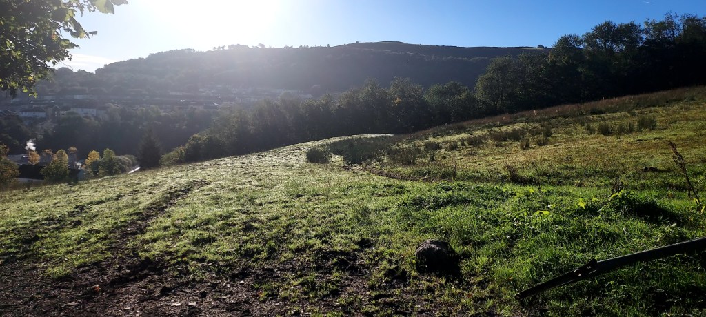 Early autumn sunlight on dewy hillside Early autumn sunlight on dewy hillside