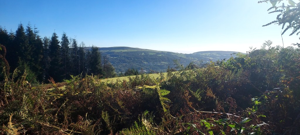 Views of sunny mountainside past autumn bracken