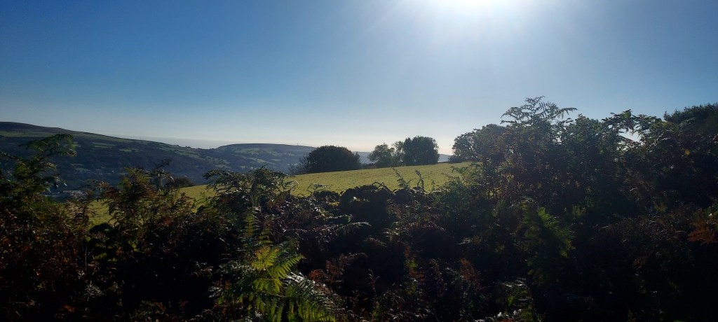 Views out over open field on sunny mountainside