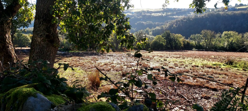 Misty marshy landscape in sunlight with hills beyond Misty marshy landscape in sunlight with hills beyond