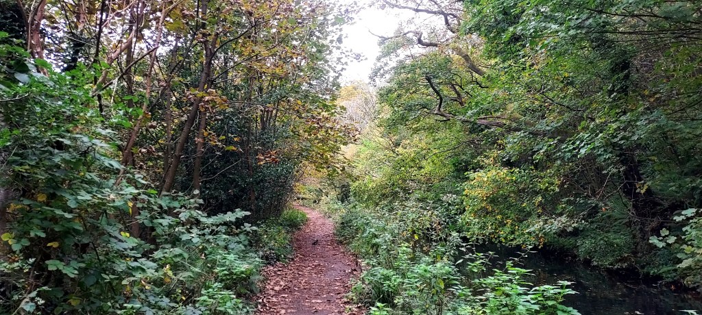 Canal tow path surrounded by greenery and autumn trees