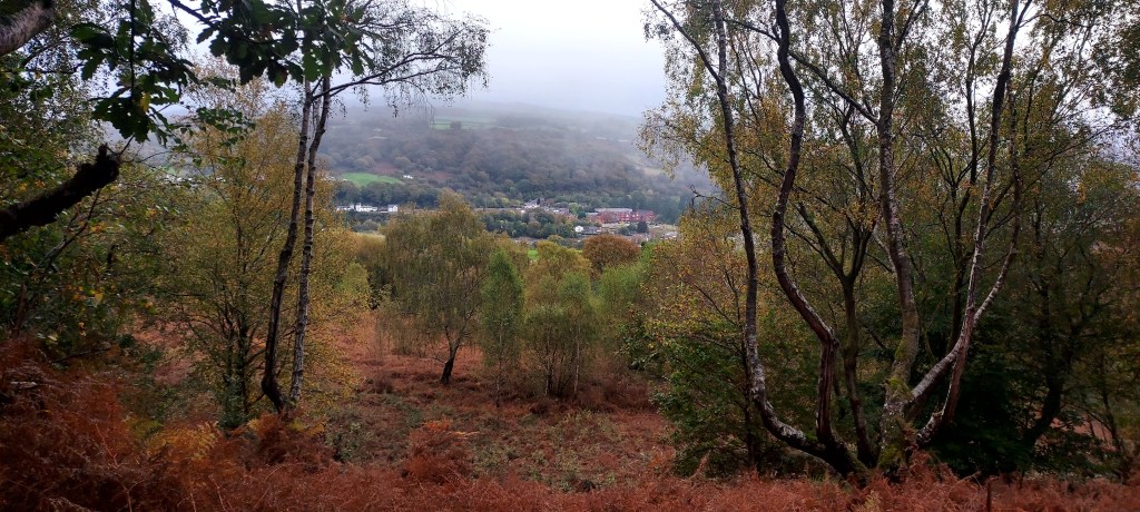 Misty mountainsides beyond autumn bracken covered hillside