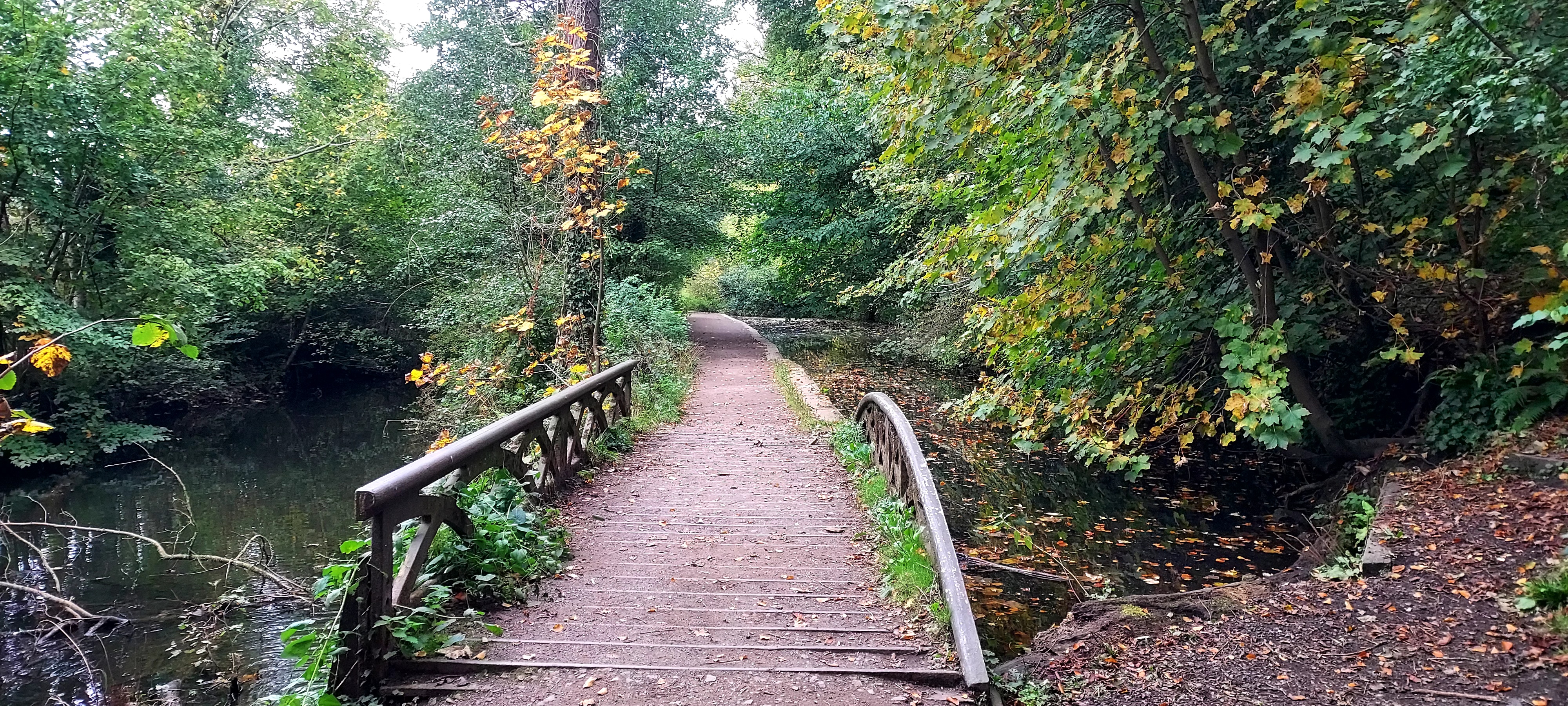 Walking Diaries *Autumn* Cocooning calm on the canal-side…