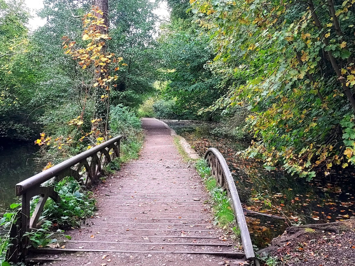 Walking Diaries *Autumn* Cocooning calm on the canal-side…