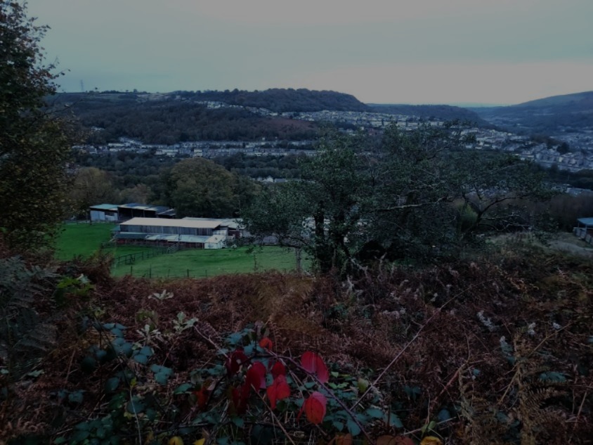 Dusk view from autumn hillside of sky and hills beyond