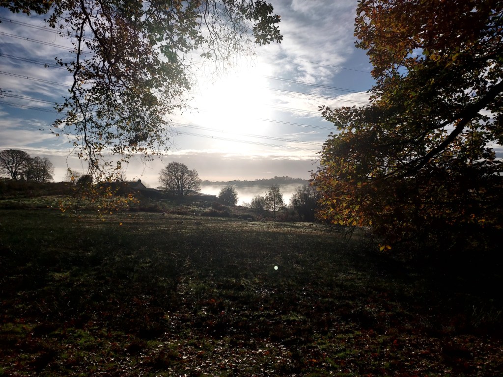 Misty autumn landscape with silvery dew and farmhouse beyond