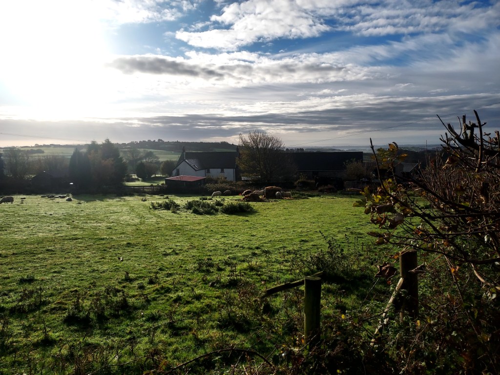 Misty hillside landscape with low sunlight and silvery dew