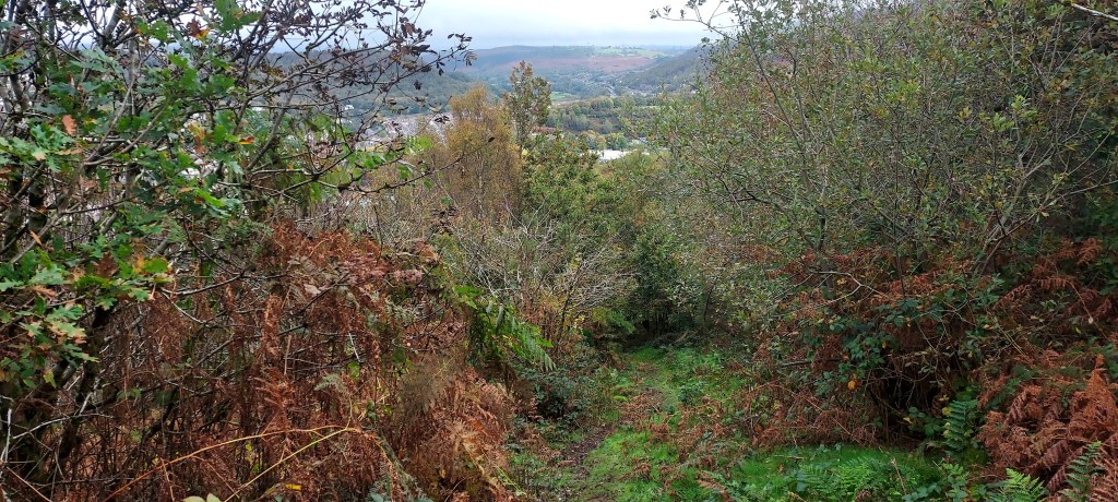 Steep path down mountainside through the woodland