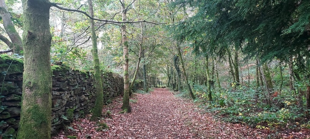 Autumn walled pathway through the trees