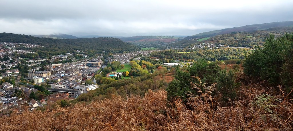 Views of the Welsh valleys through autumn mountaintop bracken