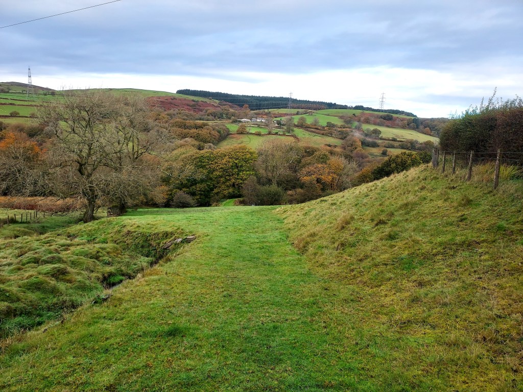 Grassy track leading down into autumn woodland