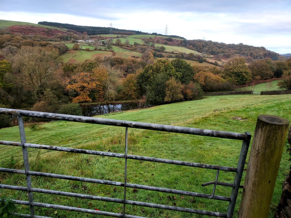 View into autumn woodland over field gate with reflective pool