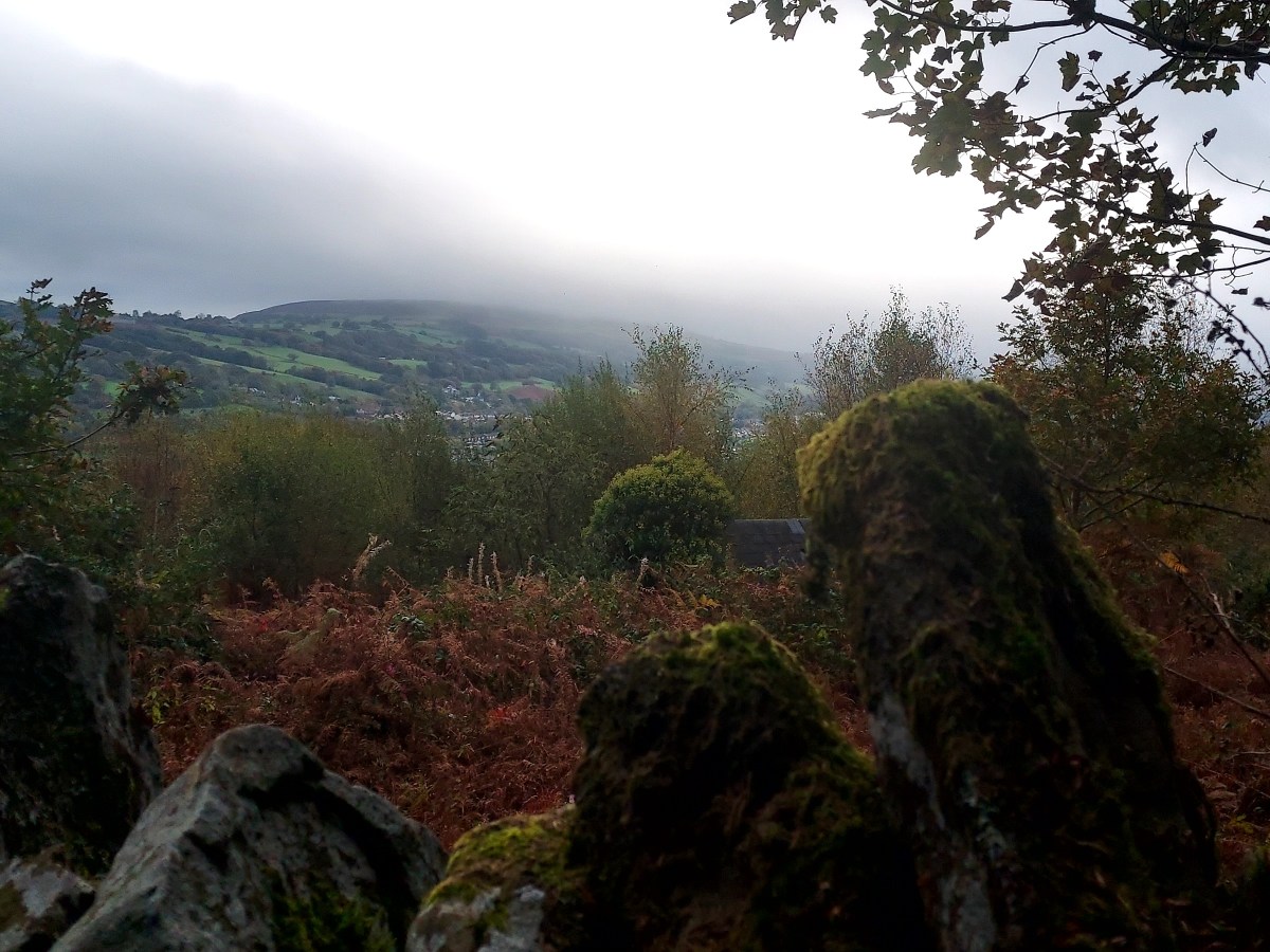 Walking Diaries*Autumn*The secrets of the&nbsp;mountain..