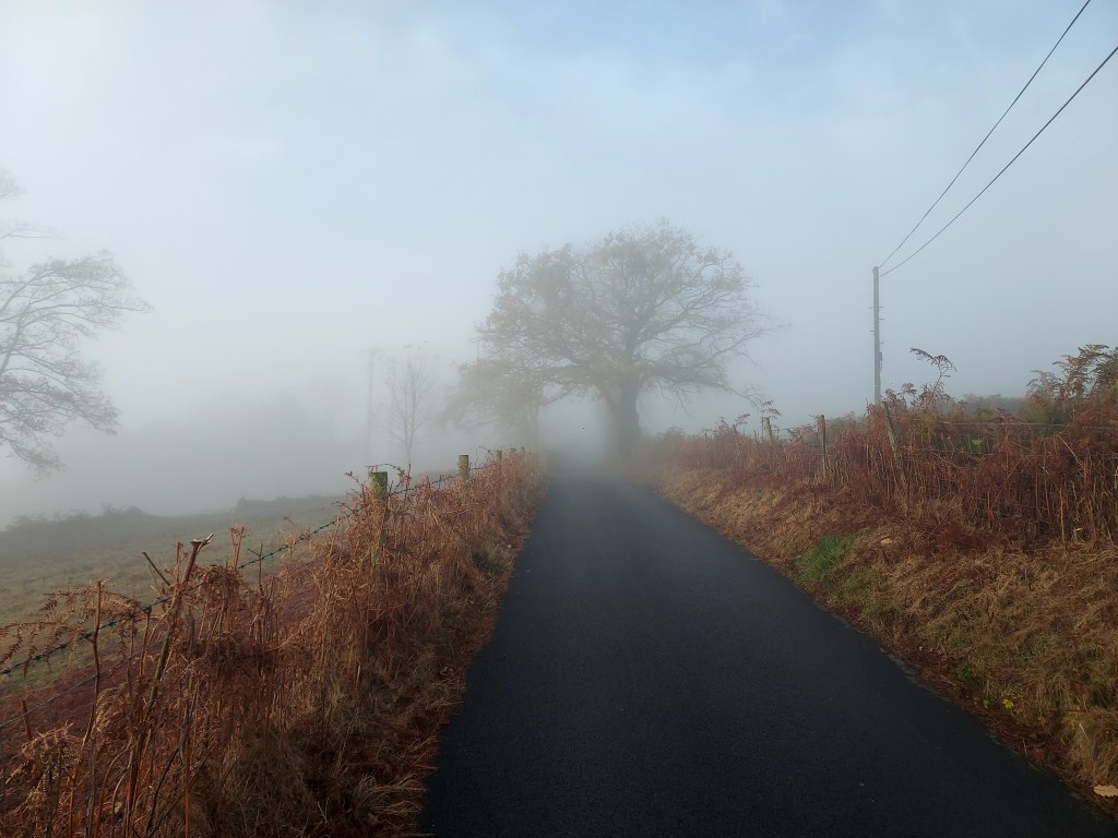 Mist surrounding tree ahead on autumn mountain lane
