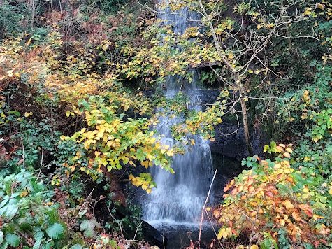 The 10 second brain spa- Micro mindfulness to calm and fuel the&nbsp;brain…