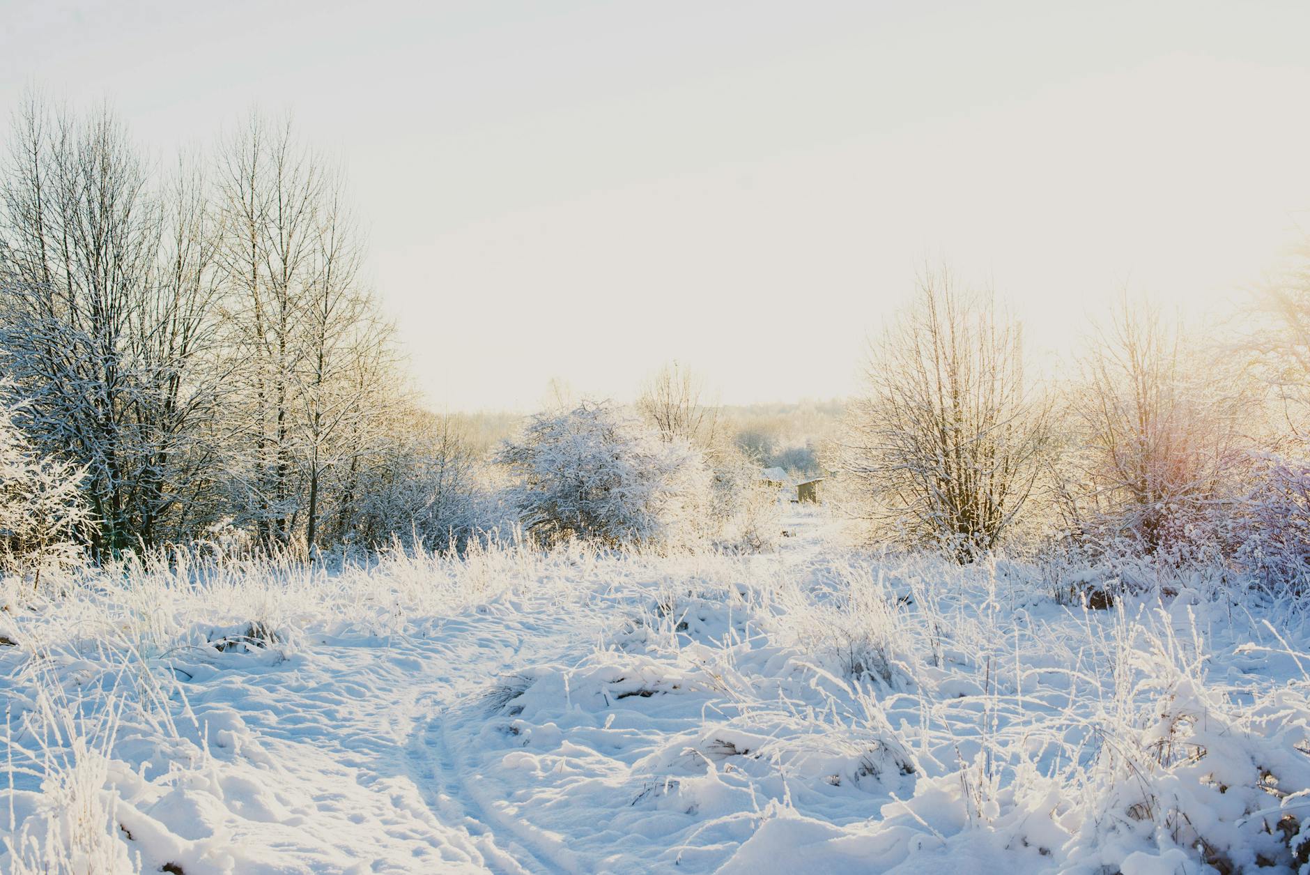 Sunlit snowy winter landscape