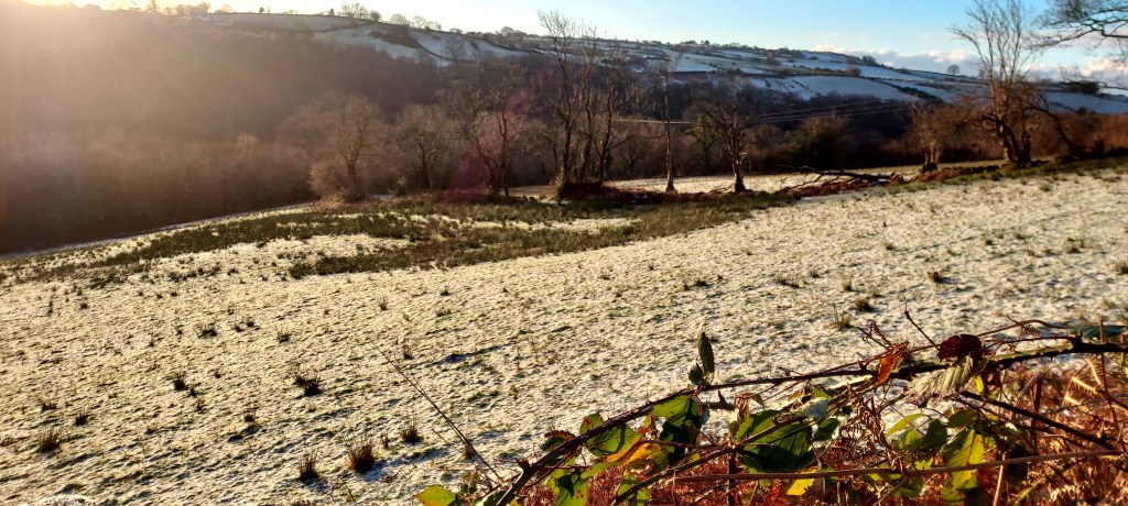 Snow dusted field in sunlight with hills beyond
