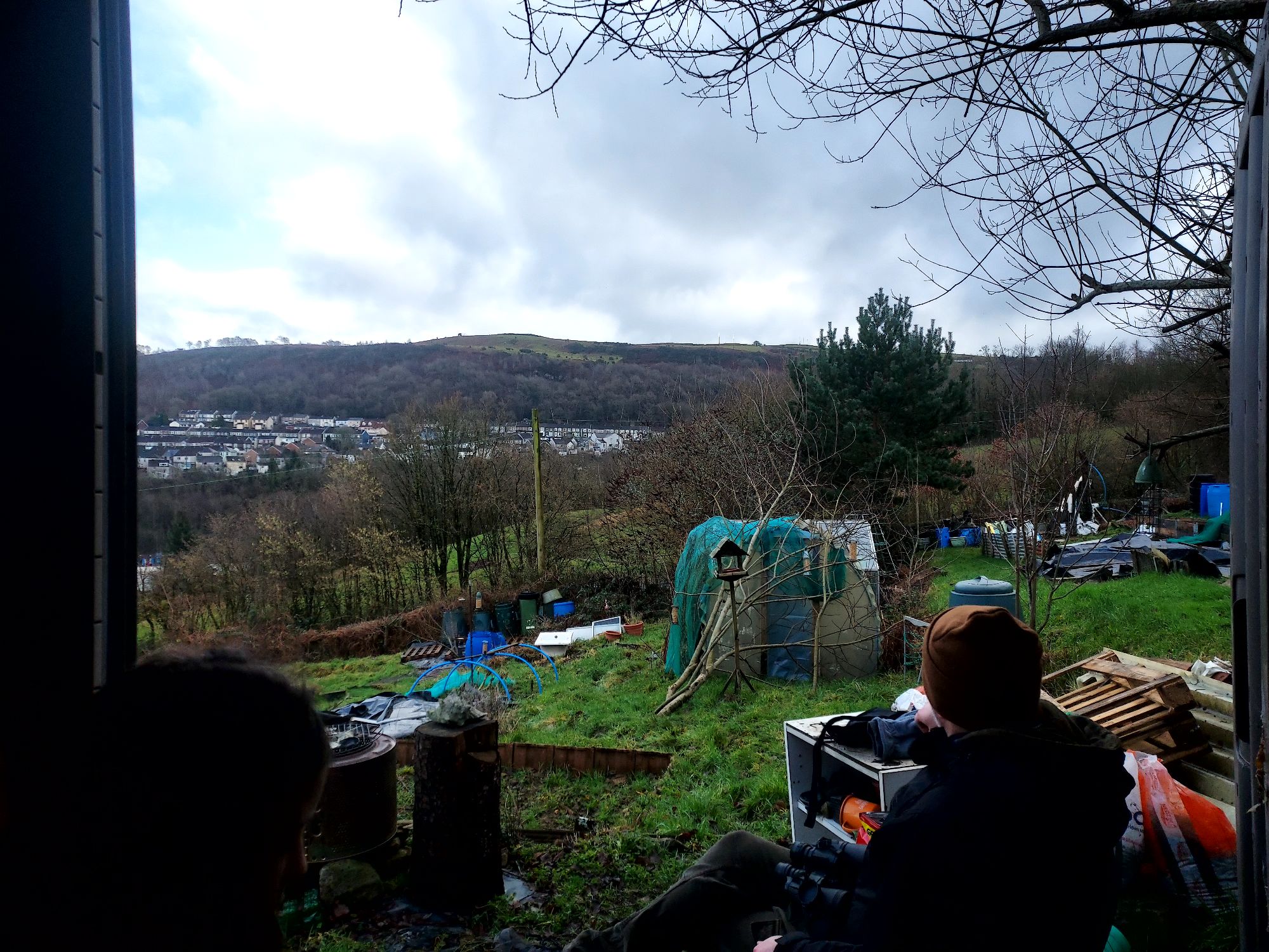 Watching birds from allotment shed with dark wintry sky and mountains beyond