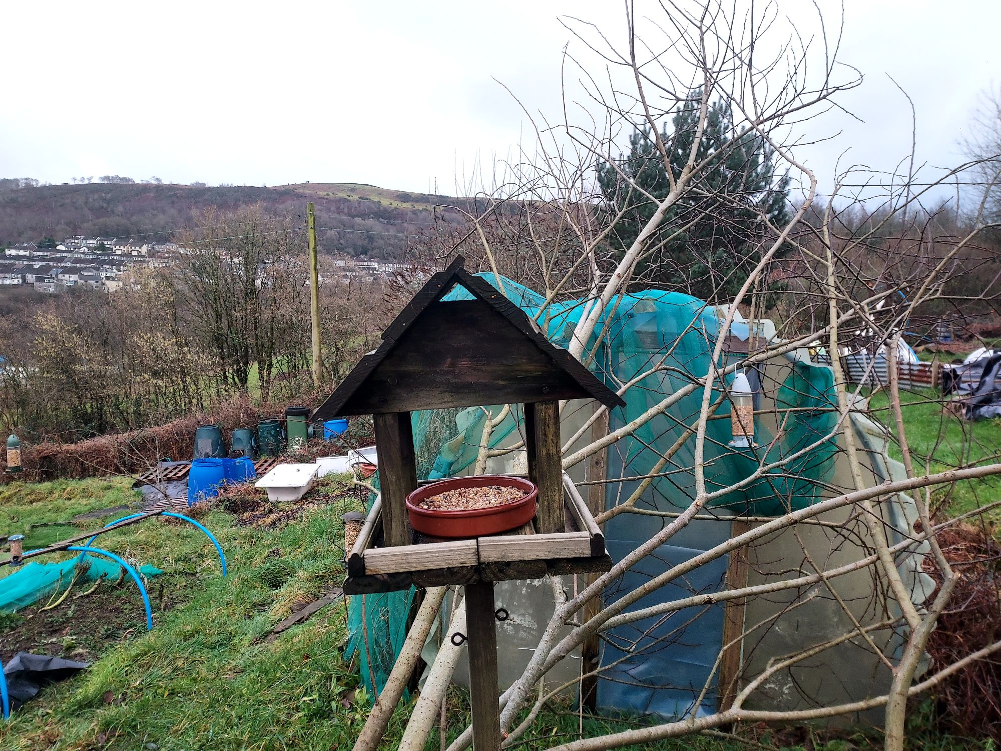 Bird feeder with bowl of bird seed and mountains beyond