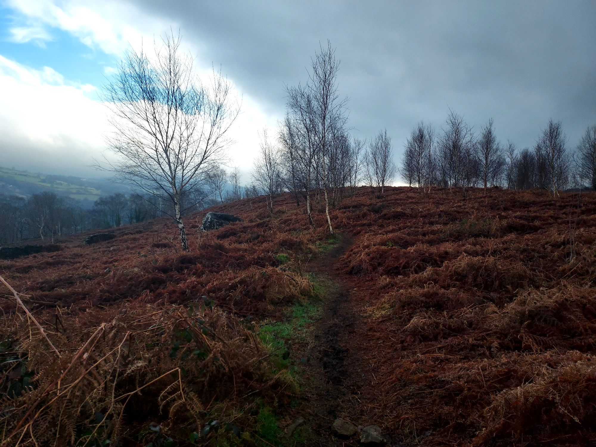 Walking Diaries*Winter*Chasing the&nbsp;sunlight…