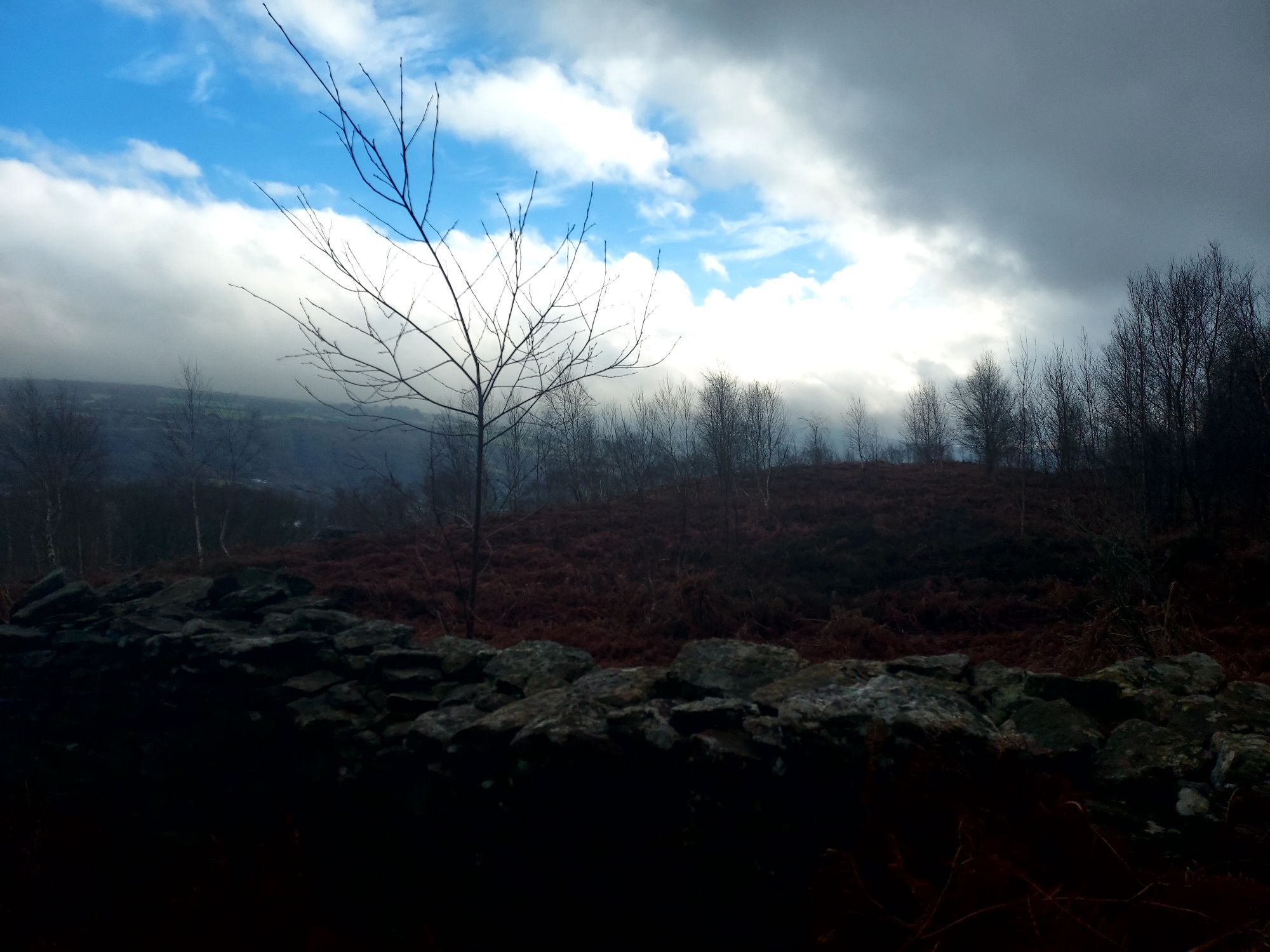 Drystone wall with winter landscape beyond, bare tree against blue sky with approaching dark cloud