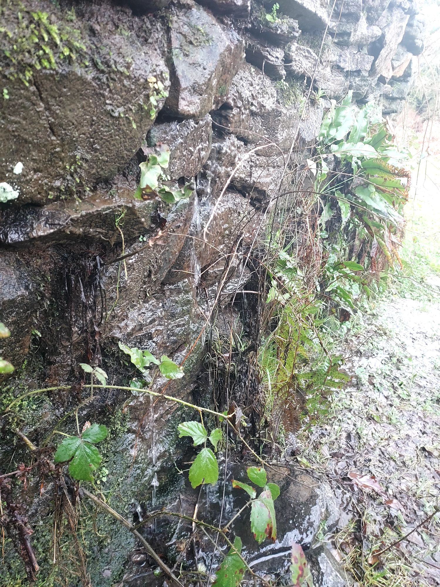 Water trickling over drystone wall
