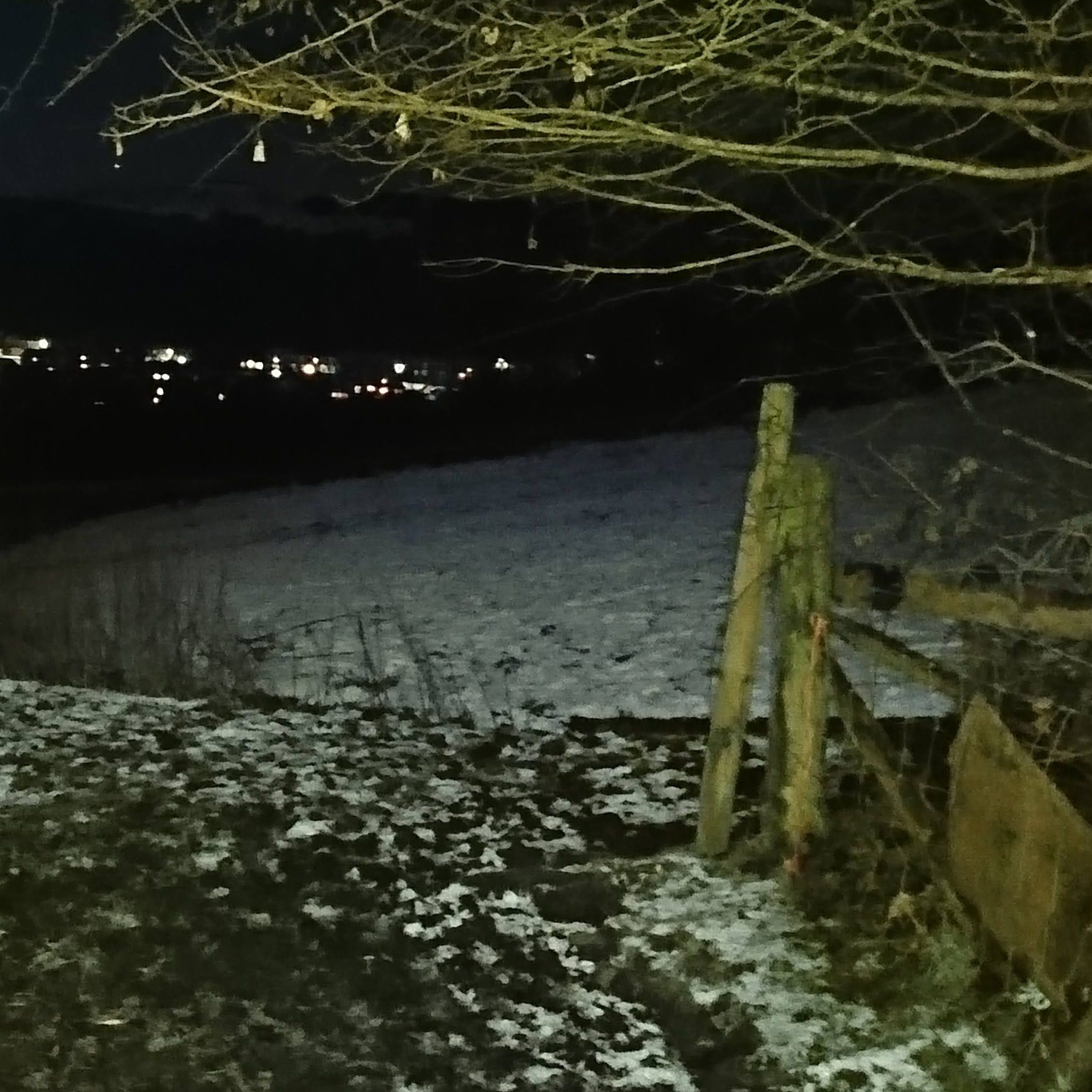 Moonlit snowy path into field with bare tree and the lights of the town beyond