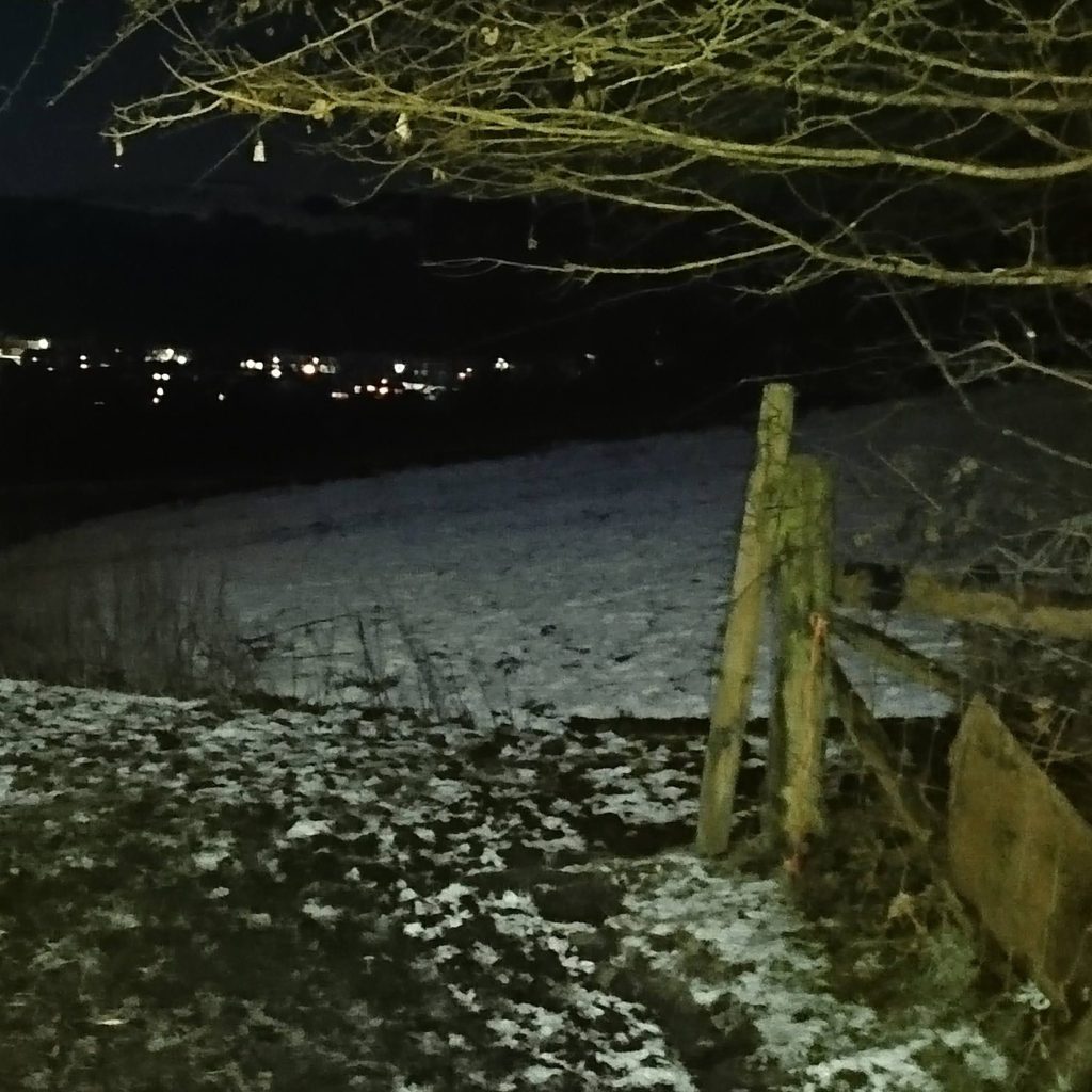 Moonlit snowy path into field with bare tree and the lights of the town beyond