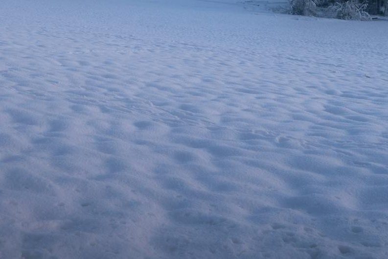 Snow field