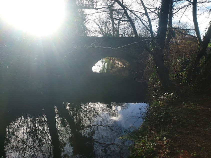 Low sun on winter landscape and bare trees reflected in river