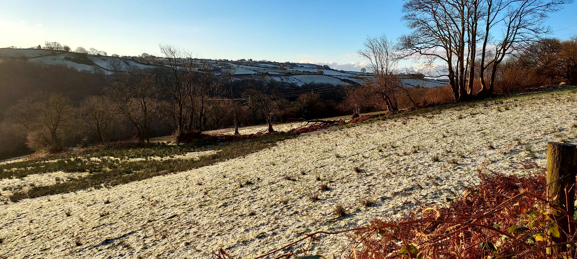 Snow dusted hillside with bare winter trees and snowy fields beyond