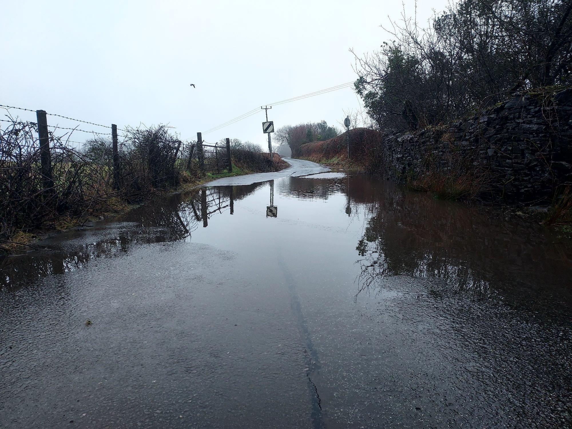 Puddle extending across country lane on a winter day
